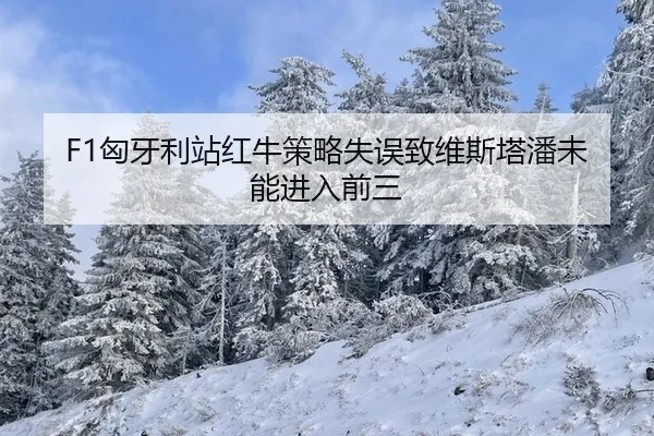 F1匈牙利站红牛策略失误致维斯塔潘未能进入前三